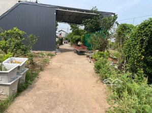 siêu hot! bán 96,7m2 tại liên nghĩa văn giang hưng yên, cách 50m ra trục chính đầy đủ tiện ích