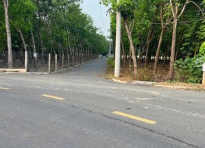 bán đất chính chủ 205m, có 60m thổ cư