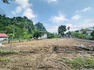 siêu phẩm nghỉ dưỡng hơn 1000m2 full thổ cư - chia sẵn 4 lô - cách trục liên xã chỉ 100m