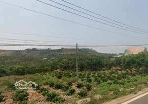 siêu phẩm đà lạt mặt tiền đường nam hà- lâm hà - lâm đồng