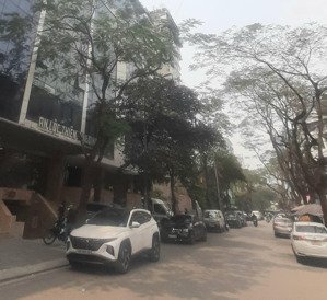 bán lô góc ngõ 75 trần thái tông dt 140m x9t, mặt tiền 25m giá 67 tỷ, sổ đỏ đẹp,3 ô tô tránh,vỉa hè