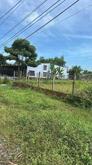 đất mặt tiền kcn tây bắc củ chi - ngay ql22 -gần 1000m2 15x60m - thổ cư - hơn 5 tỷ. lh: 