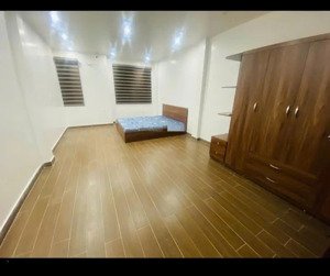 cho thuê nhà mới ngõ rộng ô tô lê lợi