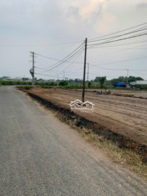 cần bán lô đất 2 mặt tiền tân phú trung, củ chi 30x47 công nhận 1475m². quy hoạch đất trồng cây