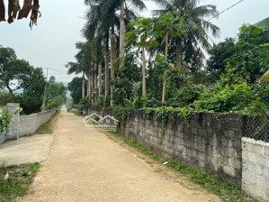 bán đất lạc thuỷ, hoà bình 6548m2 đất đẹp hợp nghỉ dưỡng đầu tư