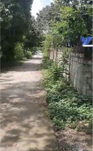 lô góc 2 mặt tiền ,26m /2 .dt 1000m/800m tc .ngõ 4m thông tứ phía dân cư hiện hữu tiện ích xã 1,5km