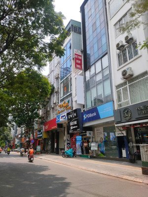 mặt phố cầu giấy-hà nội- 2 thoáng trước sau - kd đỉnh-dòng tiền gần tỷ/năm 50m x5t, giá 36,5 tỷ