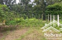 bán đất tại xã diên lâm, diên khánh cũ, khánh hòa. giá 1,5 tỷ, dt 153m2 giá cực êm