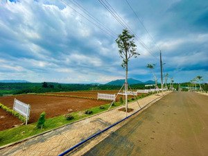 đất nền đinh trang hòa - di linh, giá chỉ 849 triệu/nền sổ hồng riêng công chứng liền tay
