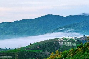 chính chủ bán đất 137m2, 650 triệu tại xã lộc an, bảo lâm, lâm đồng