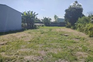 ngộp cần bán gấp lô đất hơn 1000m2 full thổ cư, giá ngộp ở tân phú trung, củ chi