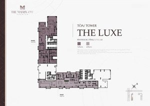 bán penhouse mỹ đình vip nhất hà nội diện tích siêu khủng 776m2 1 tầng thiết kế bể bơi..