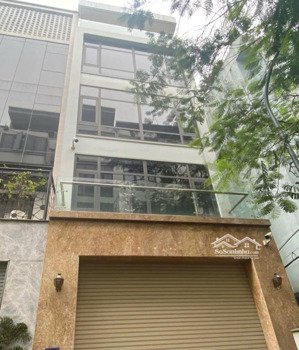 chính chủ cho thuê nhà mới nguyễn khang, 80m x 4t, mt 8m, oto đỗ cửa, đường trước nhà 20m, 40tr