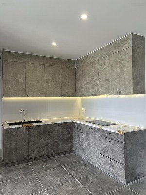 cho thuê cc lavida plus, nguyễn văn linh, 14 triệu, 70m2, 2pn, 2wc, nhiều tiện ích