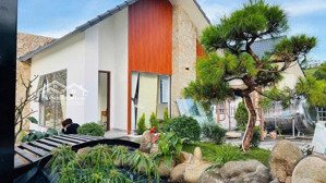 villa nghỉ dưỡng ven đà lạt với view đồi thông