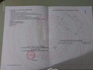 bán đất nền 907,8m2 tại tường đa, châu thành, bến tre, chỉ với 5,9 tỷ