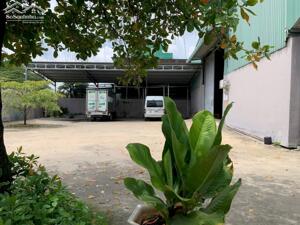 Cho Thuê Xưởng 1700m 110tr An Phú Đông Quận 12