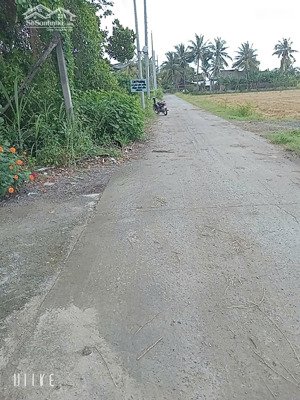 đất bán tại xã an ninh đông, đức hòa, long an với diện tích 812 m2 trong đó có 300m2 thổ cư.