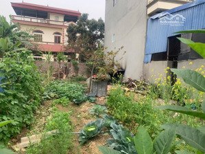 lô đất diện tích to ,giá rất tốt để mua ở hoặc đầu tư .116m full -lạc nông -mai đình .