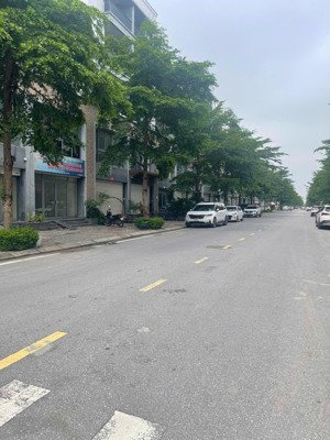 cần bán shophouse tms phúc yên - đã hoàn thiện, vào ở hoặc kinh doanh ngay