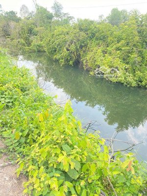 view nghĩ dưỡng.trồng ra nuôi cá.