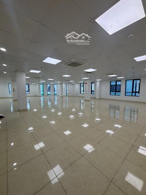 cực hot! phố nguyễn khang, sàn văn phòng, bi-a, thông sàn 300m2