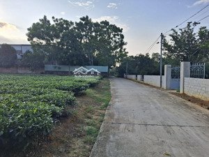bán đất tại xã yên bài, ba vì, hà nội, giá siêu hời 1,15 tỷ, 150m2