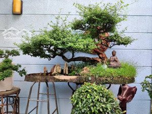 biệt thự một đời chủ lâu năm, 180m2, ngang 7.5 x 24m,nở hậu tải lộc. chỉ có 13.9 tỷ,