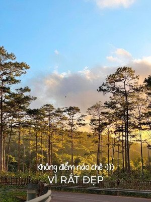 bán nhà biệt thự, liền kề 35 tỷ, 1487.5 m2 tại xã đắk long, huyện kon plông, kon tum