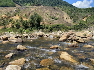 đất view sông cu đê hòa bắc, 33000m2 có 400m2 đất ở đường dt601.