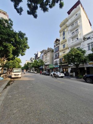 bán đất phố trạm, đàm quang trung, long biên, 66m2, mt 4m, giá 13.9 tỷ, ô tô khu vực sầm uất hiếm