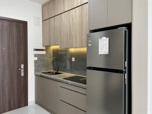 officetel 30m2 sunrise riverside - gần rmit, tdtu, quận 7 - đầy cơ bản như ảnh | lh 