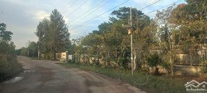 bán đất 9420m2 quy hoạch đất skc lộc an - long thành giá nhà đầu tư