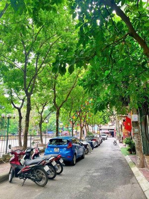 nhà phân lô nguyễn thị định, ô tô, kinh doanh, view vườn hoa, 67m 5 tầng, chỉ 25 tỷ