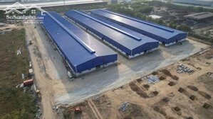 Cho thuê xưởng 9,800m2 KCN Phú Mỹ 1, Phú Mỹ, BRVT