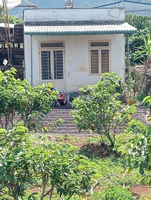 bán lô đất đẹp mặt tiền đường nhựa trung tâm xã tân thành, đức trọng, lâm đồng