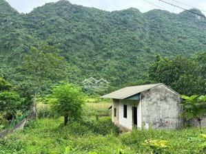 chính chủ gửi 177,5m2 toàn bộ thổ cư thuộc khu tái định cư văn mỹ xã hoàng văn thụ hà nội