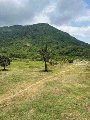 sáng thức dậy nghe tiếng chim tại thôn khánh xuân, diên lâm, diên khánh, 172,5m2 có thổ cư