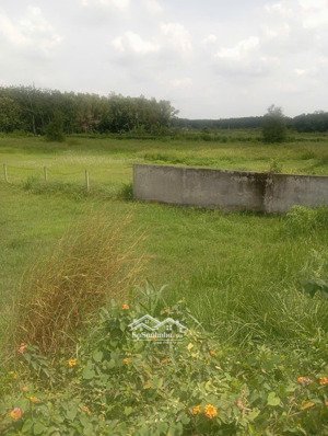 bán lô đất mặt view đẹp gần trung tâm tại thôn khánh xuân,diên lâm,diên khánh, giá chỉ hơn 1,6 tỷ!