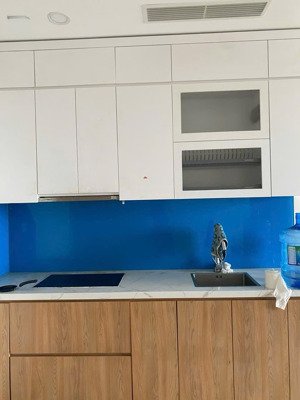 cho thuê - 2 ngủ 1 vệ sinh, bếp rèm - chung cư sky oasis, kđt ecopark - giá 6tr/tháng