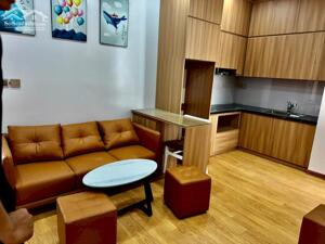 Căn hộ 2 ngủ mới tinh cho thuê giá cực tốt chỉ 9tr tại Vinhomes Marina