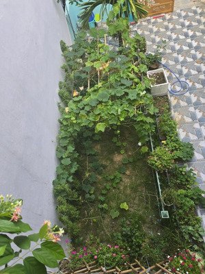 bán nhà fpt nội phố gần công viên có sân vườn đẹp giá rẽ chỉ 5.3 tỷ