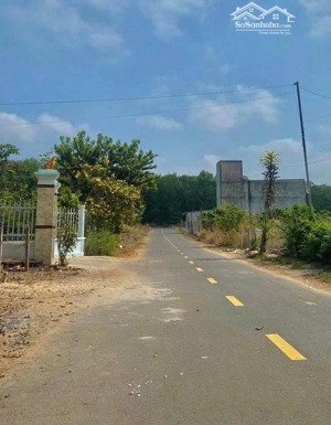 5000m2 vườn mít gần kcn mà giá chỉ 100k/m2 quá hời luôn