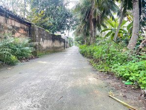 siêu phẩm bđs cơ hội vàng đầu tư sinh lời thôn 3, (cao nhân) quang trung, thủy nguyên, dt 289m2