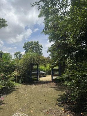 chính chủ bán đất diện tích lớn tại xã tiến xuân, thạch thất, hà nội, 8,5 triệu / m2, 3300 m2