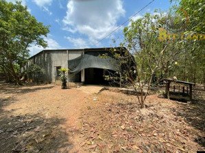 bán đất nghỉ dưởng tại bình minh, diện tích 14.000m2, giảm giá mạnh thêm 3 tỷ(d055)
