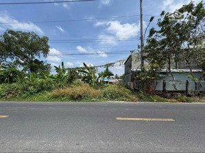 cần bán gấp đất đ. nguyễn đình chiểu, p.8, bến tre bên cạnh chợ an hòa,120m2/500tr,shr, thổ cư 100%