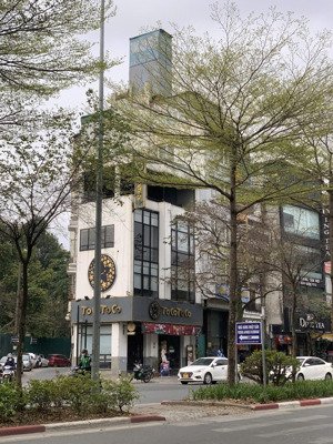 siêu hot cho thuê nhà 2 mặt tiền phố chùa láng diện tích 133mx7 tầng nổi, 1 tầng hầm, giá từ 150tr