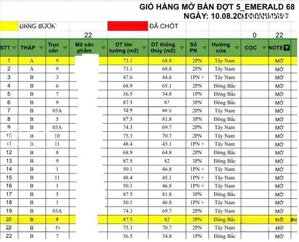 vừa ra mắt giỏ hàng đẹp nhất the emerald 68