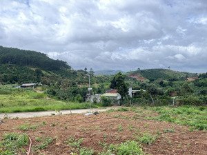 chỉ 499 triệu/lô giá tốt nhất nam ban, lâm hà
view đồi thông thoáng, khí hậu mát mẻ